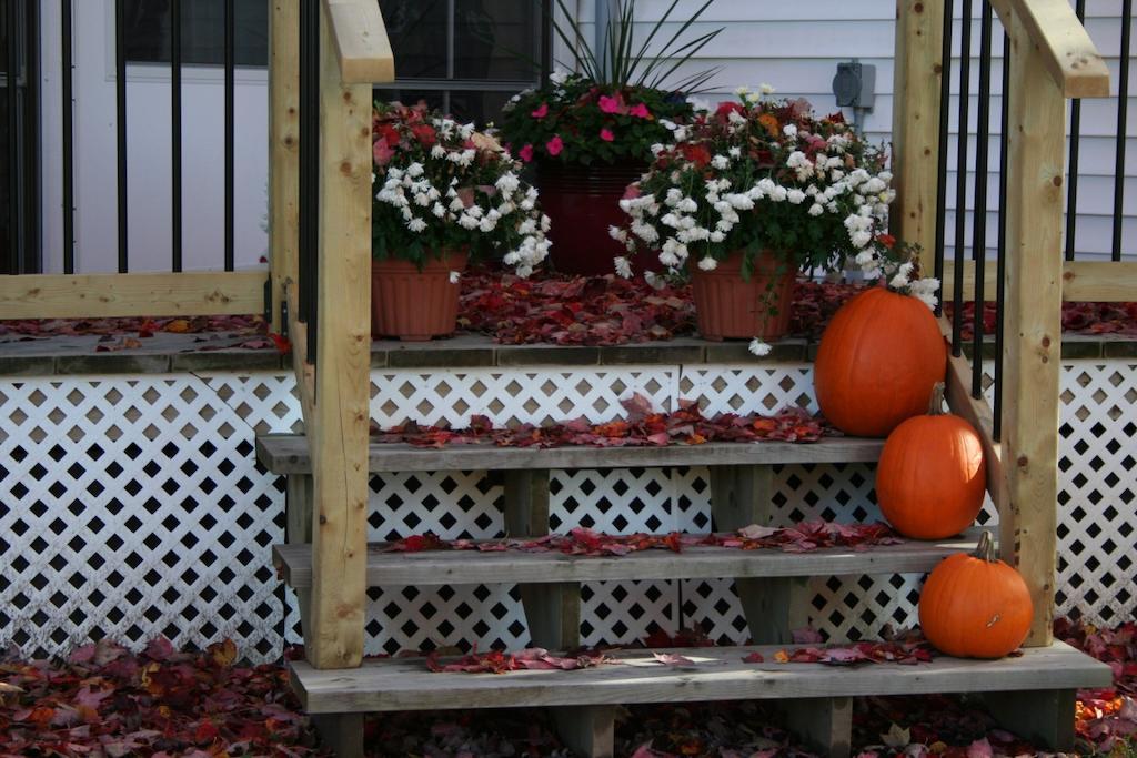 Sandstone Bed And Breakfast New Glasgow Exterior foto